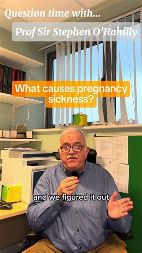 Professor Steve O'Rahilly - What causes pregnancy sickness