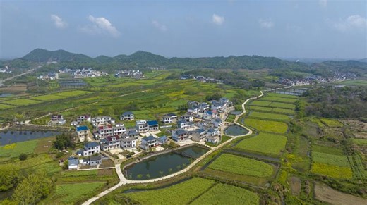 A look at China's major rural, agricultural reforms in the past decade