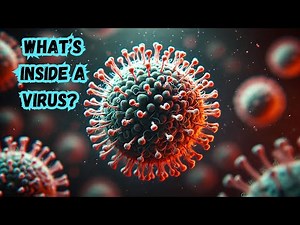 What’s Inside a Virus? The Hidden Structure Explained!