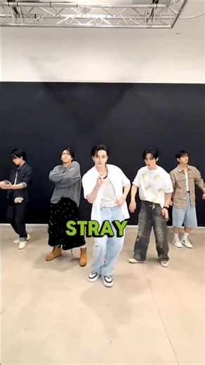 Stray Kids REAL Heights (Shortest to Tallest!) 📏😱 #Shorts