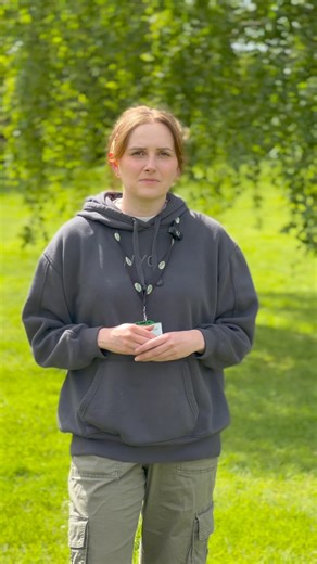 3.2K views · 12 reactions | Plants for a conservatory  If you've...