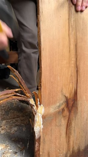 Tool chest | Whittle works