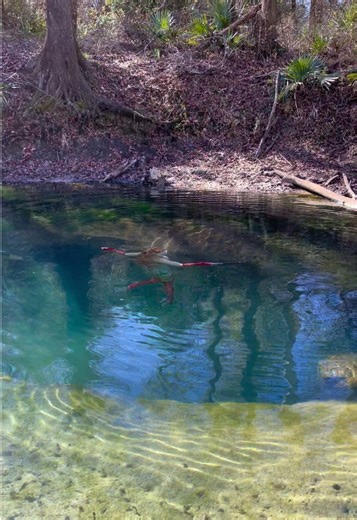 Fart Jokes Underwater: Freediving Fun Moments