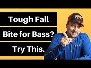 Fall Bass Fishing Tactics | Catching Fall Bass When the Bite is Tough