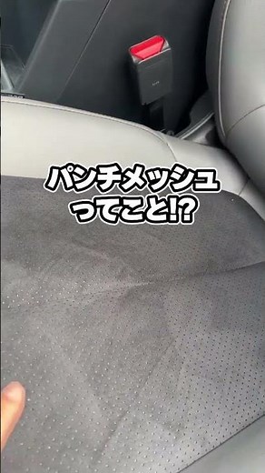 [New Forester] The seats are so luxurious it's amazing! Introducing the interior of the 2025 Suba...