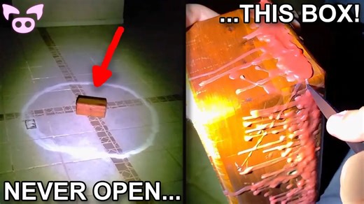 36K views · 1.2K reactions | Frightening Videos That Will Make You Cry | Slapped Ham | Facebook