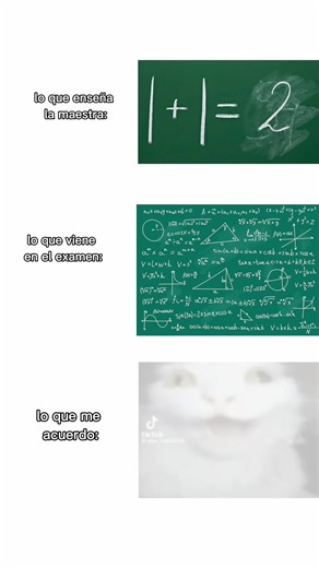 #codigogatito#paratiiiiiiiiiiiiiiiiiiiiiiiiiiiiiii #XD