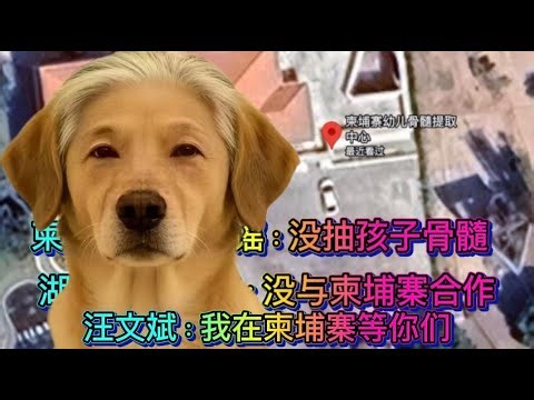 25/12/21直播：柬埔寨生产婴儿干细胞产业曝光；月薪四万欧元能收买几条油管博主？