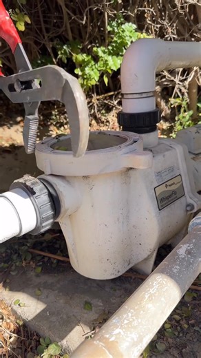 Just gluing PVC pipes together and making things as clean as possible_ While installing this new swimming pool pump line up made by @jandypool_ You guys are going to love the price points on these_ This pump was Installed on a swimming p #plumbingOnly #PlumbingSolutions #learn #Install #outdoorliving #plumbing #milwaukeetools #maintenance #plumber #bluecollar | Pool Volution