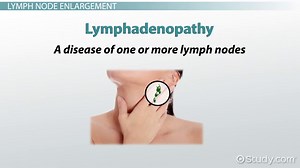 Vocabulary for Major Pathology & Diagnostics of the Lymphatic System