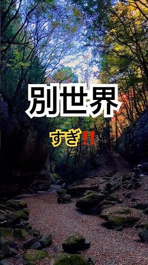 「自然の圧、強すぎ。滑川渓谷で見た“本物の癒し”」 #shorts