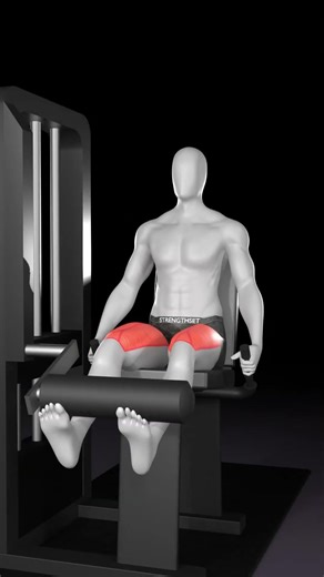 Fix Your Leg Extensions in 10 Seconds ⏳
