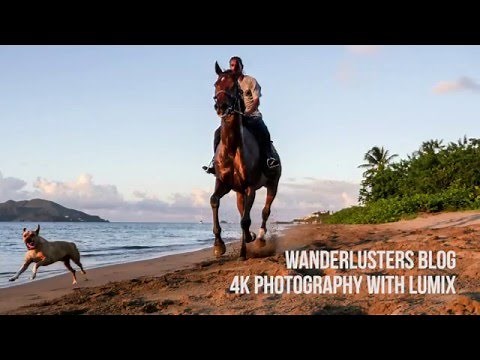 LUMIX 4K Photo Mode Explained | Wanderlusters.com