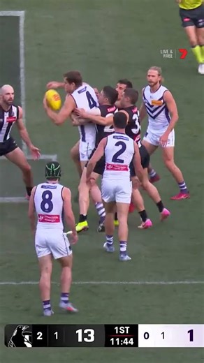 add that one to the DRIBBLE files 🤤