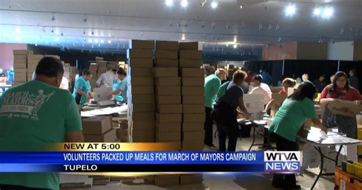 Volunteers form assembly lines to pack boxes of food