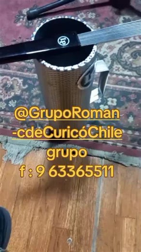 Videos de Maria Elsa (@maria_elsa_guirista) con “sonido original - Maria Elsa”