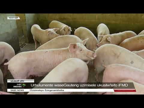 Iindaba zesiXhosa @13H00 l 27 January 2026