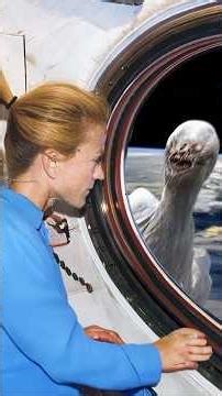 Real Astronaut Encounters With UFOs NASA Doesn’t Acknowledge