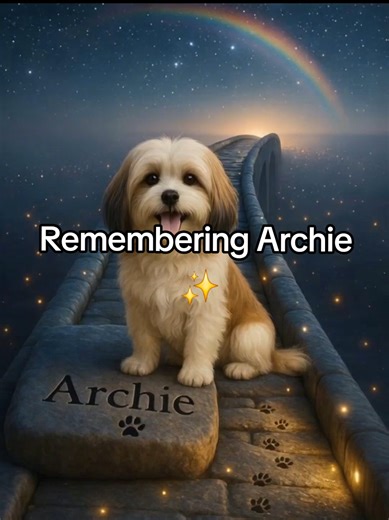 Remembering Archie 🌈: