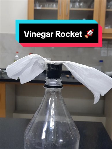 Vinegar Rocket: Discover Fun Science Experiments
