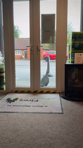 When you turn up to our showroom at 13:15 without checking our opening hours first  | Eco Fires and Stoves | Facebook