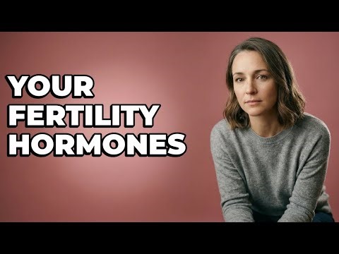 Why Are FSH And AMH Hormones Tested?