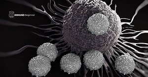 Tumor Mutation Burden - Immuno Beginner