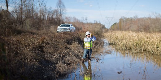 Search Vegetation Management Jobs - Independent Utility Vegetation Management | ACRT