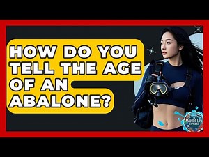 How Do You Tell The Age Of An Abalone? - The Marine Life Explorer
