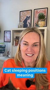Ever wondered what your cat’s sleeping position means? Feline behaviorist Amanda Campion is here to help! 💤🐈 @kittysittycatbehaviourist To learn more, head to the link in our bio. #catcare #cats #cat #catsofinstagram #petcare #catlover #catsitting #catlovers #petsitting #catlove #catlife #catsitter #catstagram #pets #catgrooming #meow #petlovers #cathealth #kittens #pet #pethealth #feline | Beastly Show