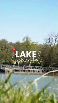 Descubre Lake Springdale al atardecer 🌅