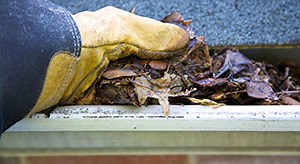 5 Things That Can Happen If You Don't Clean Your Gutters