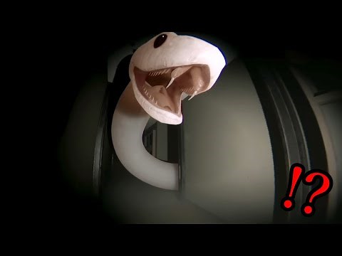 学校のような施設で『人喰い巨大アナコンダ』に食べられないように逃げ回るホラーゲームが怖すぎる（大絶叫あり）