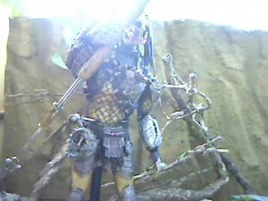 Stop-motion : PREDATOR - Ready to hunt !...