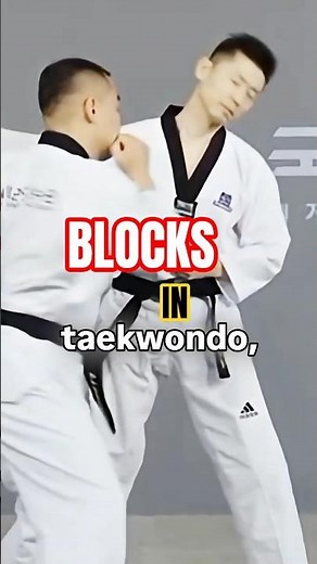 BLOCKS Explain in 40 second