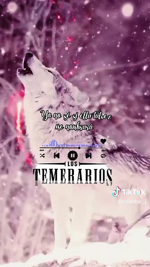 Los Temerarios: Música y Conciertos En Vivo