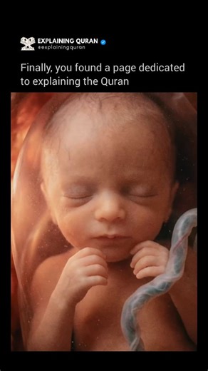 36K views · 4.9K reactions | The Qur’an discusses human embryological...