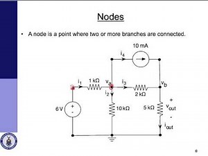 Branches nodes etc