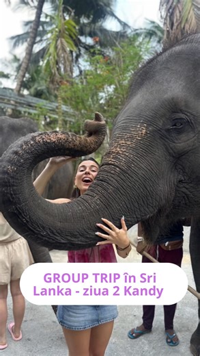 MĂDĂLINA STANCU on Instagram: "🌏 Group Trip Sri Lanka - Ziua 2 - Am plecat spre Kandy, am fost atacate de o maimuță turbată și am semnat actele ca să luăm un elefant în România ca animal de companie ✅ - ah, și ne-am cazat la Suraj acasă, homestay ul în care am stat eu timp de 6 zile când am călătorit singură timp de o lună în Sri Lanka în aprilie - practic cazarea mea de suflet 💯 Aventura continuă 🌏 #grouptrip #srilanka #colombo #asia #unvis"