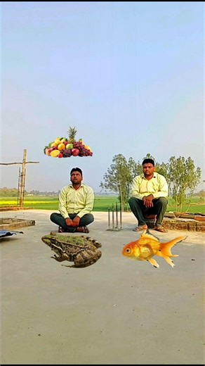 vah cake vs elephanta #funny #magic #video