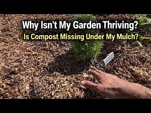 Food Forest | How to Apply Compost And Mulch To Your Fruit Trees | Back To Eden Style Gardening