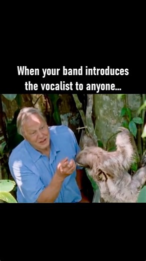 42K views · 150 reactions | Especially during load in…藍 #bandmemes #musicianmemes #singermemes #bandproblems #musicianproblems #vocalistsofinstagram #musicianlife | As The Structure Fails | Facebook