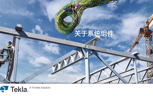 6.关于Tekla系统组件的使用