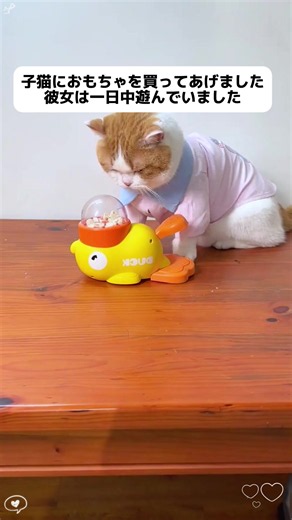 猫飼いがやっと手を解放しました!このエサ落とし器、猫のこと知りすぎでしょ!#猫のエサ漏れ器#萌えおもちゃ#猫のストレス解消グッズ#猫の知育玩具#フリーズドライ玩具です