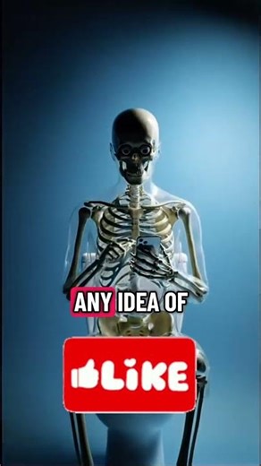 Stop Scroling on toilet!!! #scroll #funny #shorts #viral