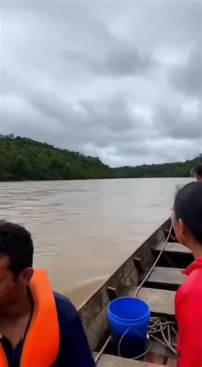 THERES SO MANY ROCKET FISH 🚀🚀🚀 #ai #fyp #arapaima