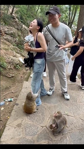 Funny animals videos #funny #animals #shorts #video