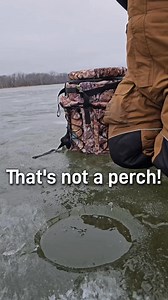 3.7M views · 16K reactions | How did that line hold up!! #icefishing #fishing #outdoors #angler #hardwater #fishingaddict #fishingtips #pike #pikefishing #catchandrelease #fishingislife #winter Clam Outdoors KulStool Blackfish Gear | TUT Outdoors | Facebook