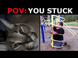 Floppa Becoming Sad (POV: YOU STUCK)