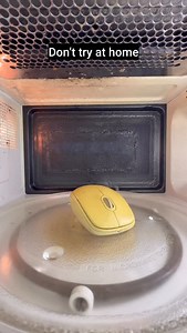 Mouse inside the microwave #experiment #science #microwave #trending | Mrwaves